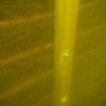 DSCN0234